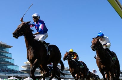 Feroce Australian Guineas