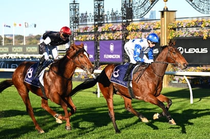 Flemington Racing Tips for September 12 – Arkansaw Kid value at $17 in the Bobbie Lewis