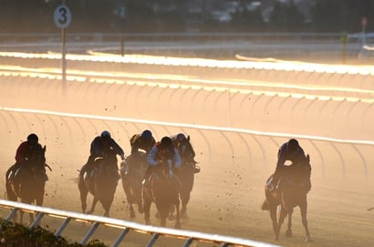 Flemington Jumpouts