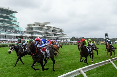 Flemington Tips for 07.06.2025