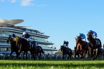 Flemington Tips for 17.05.2025