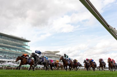 Flemington Blackbookers - Saturday, September 13