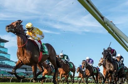 Flemington tips for 03.10.2026