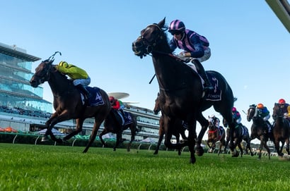 Flemington Betting Tips for June 6, 2026 - Spione Finds His Race