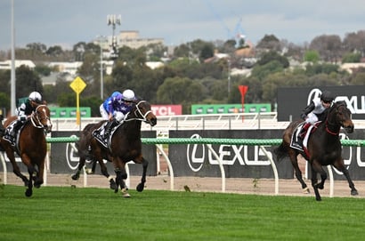 Flemington tips for 12.09.2026