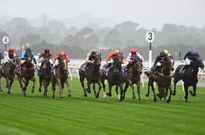 Flemington tips for 20.06.2026