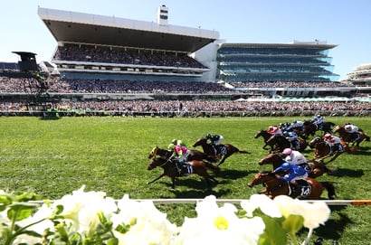 Flemington tisp for 04.11.2025