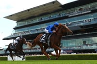 Flight Stakes Odds