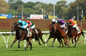 Flight Stakes odds