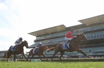 Flight Stakes tips