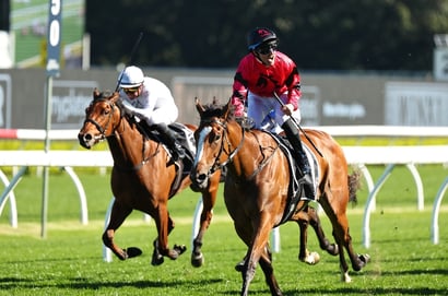 Flight Stakes 2025 Betting Odds - Odds-on for Apocalyptic