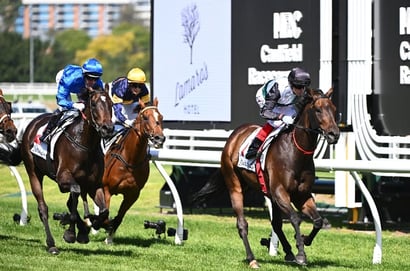 Futurity Stakes 2025 Betting Odds - Mr Brightside is an odds-on favourite