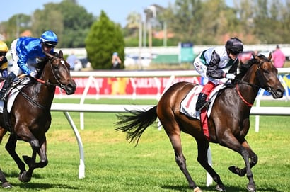 Futurity Stakes Tips