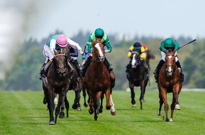 Galway racing