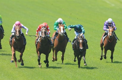 Gatton tips - 01/10