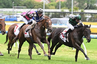 Gawler Tips for 24/10