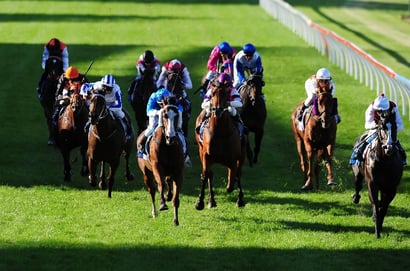 Gawler tips - 13/05