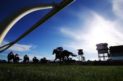 Geelong Tips for 09.05.2025
