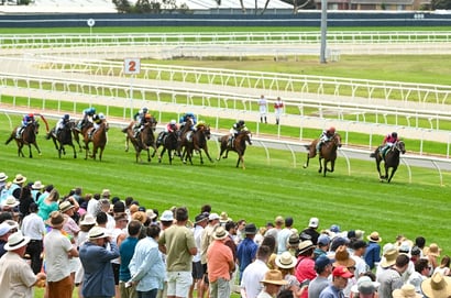Geelong Tips for 23.04.2025
