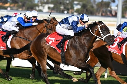 Geelong racecourse