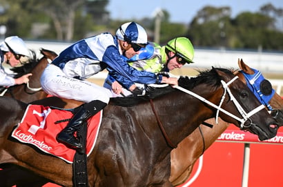 Geelong racecourse