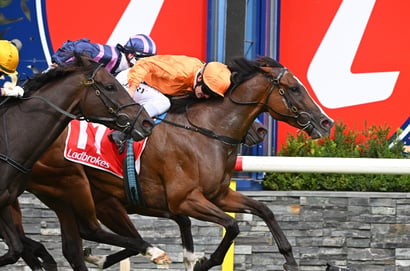 Geelong racecourse