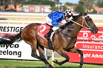 Geelong racecourse
