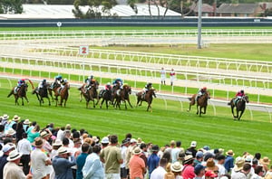 Geelong tips for 04.06.2026
