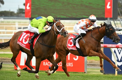 Geelong tips for 11/09