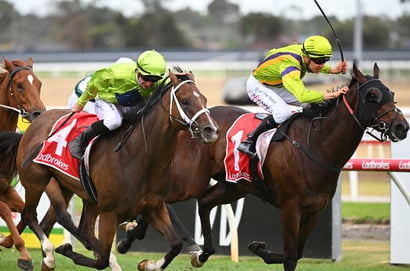 Geelong tips for 19.06.2026
