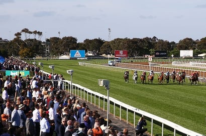 Geelong tips for 22.10.2025