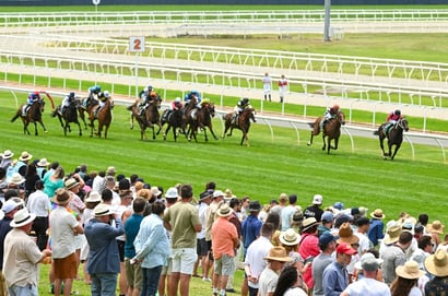 Geelong tips for 26.11.2025