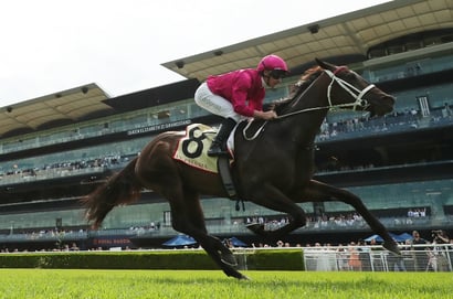 George Ryder Stakes 2025 Betting Odds - Fangirl leads a strong lineup