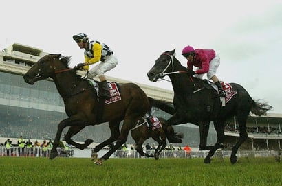 God's Own guineas