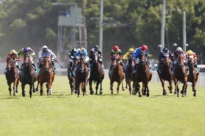 Gold Coast Tips for 24.01.2025