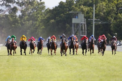 Gold Coast tips - 14/03