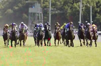 Gold Coast tips