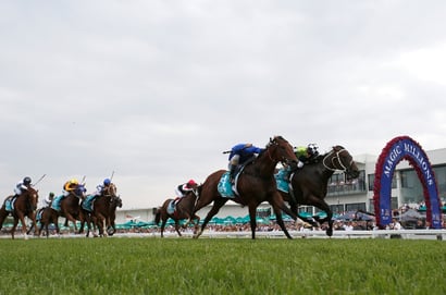 Gold Coast tips for 17.01.2026
