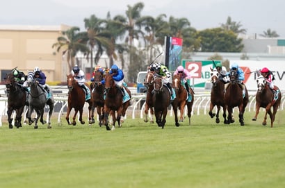 Gold Coast tips for 19.09.2026