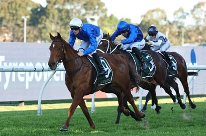 Golden Rose 2025 - Barrier Draw & Final Field