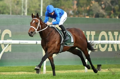 Golden Rose Rosehill
