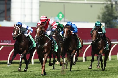Golden Slipper Barriers