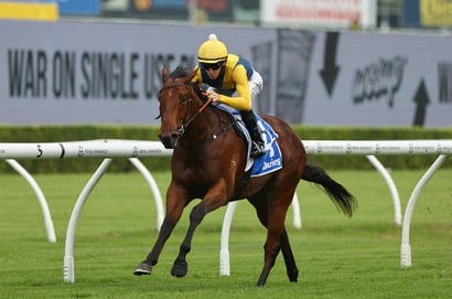 Golden Slipper 2026 Betting Odds - Chayan and Paradoxium Top a Competitive Market