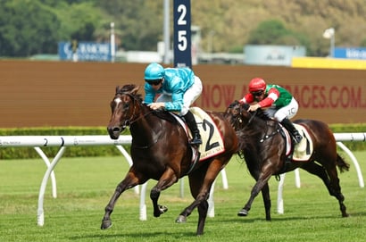 Golden Slipper tips