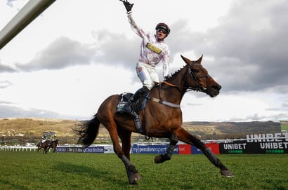 2025 Fighting Fifth Hurdle Result - Constitution Hill falls, The New Lion falls, Golden Ace wins