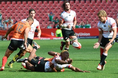 Golden lions currie cup