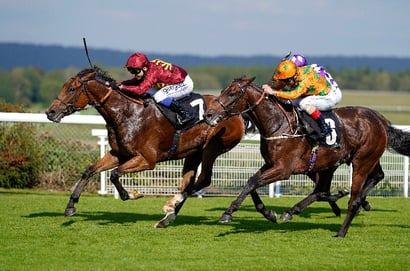 Goodwood Festival