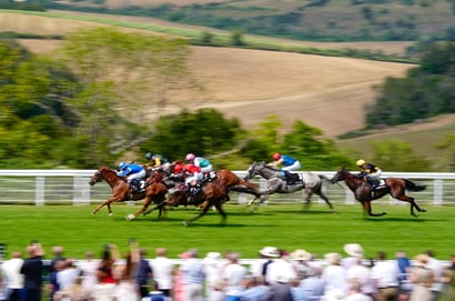Goodwood horse racing