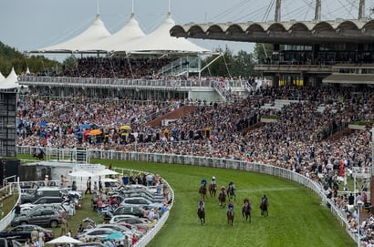 Goodwood racing