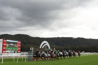 Gosforc tips for 28.08.2026